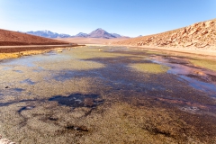 Von El Tatio nach San Pedro de Atacama - Chile