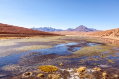 Von El Tatio nach San Pedro de Atacama - Chile