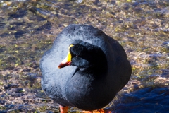 Von El Tatio nach San Pedro de Atacama - Chile