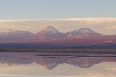 Salar de Atacama (Salzsee) - Chile