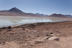 Park Eduardo Avaroa National Reserve of Andean Fauna - Bolivien