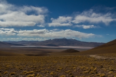 Park Eduardo Avaroa National Reserve of Andean Fauna - Bolivien