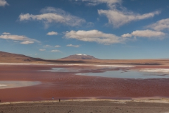 Park Eduardo Avaroa National Reserve of Andean Fauna - Bolivien