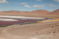 Park Eduardo Avaroa National Reserve of Andean Fauna - Bolivien