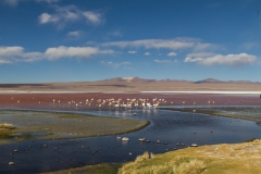 Park Eduardo Avaroa National Reserve of Andean Fauna - Bolivien