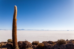 Salar de Uyuni - Bolivien
