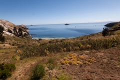 Titicacasee- Sonneninsel - Bolivien