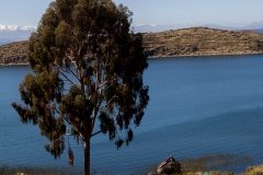 Titicacasee- Sonneninsel - Bolivien