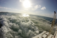 Schnorcheln auf der Jugendinsel - Cuba