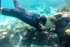 Schnorcheln auf der Jugendinsel - Cuba