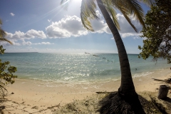 Schnorcheln auf der Jugendinsel - Cuba