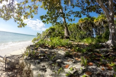 Schnorcheln auf der Jugendinsel - Cuba