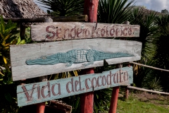 Jugendinsel - Cuba