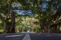 Jugendinsel - Cuba