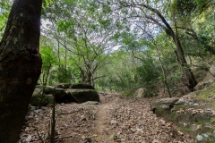 von Camaguey nach Pilon - Cuba