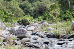 von Camaguey nach Pilon - Cuba