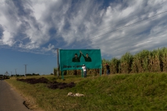 von Camaguey nach Pilon - Cuba