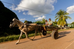 von Camaguey nach Pilon - Cuba