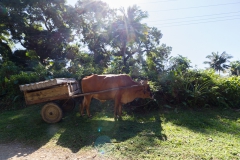 von Baracoa nach Gibara - Cuba