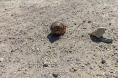 von Baracoa nach Gibara - Cuba