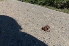 von Baracoa nach Gibara - Cuba