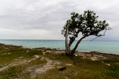 Schweinebucht - Giron - Cuba