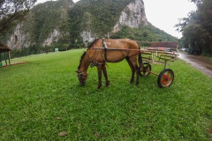 Viñales - Cuba