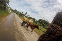 Viñales - Cuba