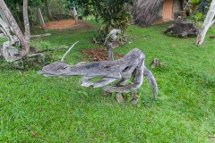 Viñales - Cuba
