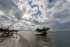 Cayo Levisa - Cuba