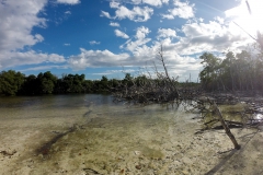 Cayo Levisa - Cuba