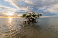 Cayo Levisa - Cuba