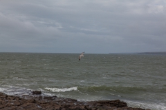 Westküste - Irland