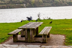 Westküste - Irland