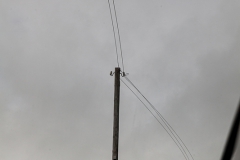 Westküste - Irland