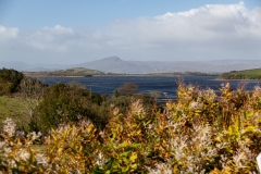 Irland