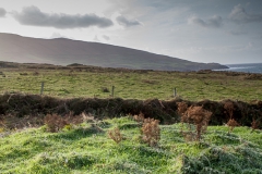 Dursey Island - Irland