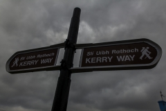 Westküste - Ring of Kerry - Irland