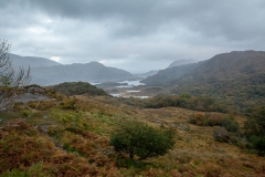 Westküste - Ring of Kerry - Irland