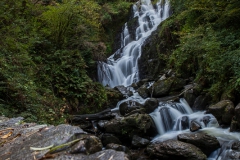 Westküste - Ring of Kerry - Irland