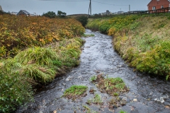 Westküste - Ring of Kerry - Irland