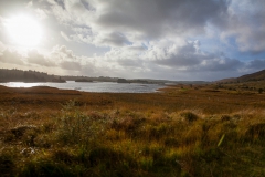 Westküste - Ring of Kerry - Irland