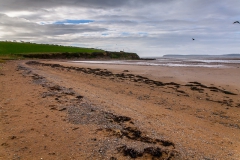 Hook Lighthouse - Irland