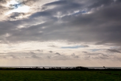 Hook Lighthouse - Irland
