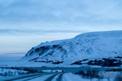 Auf den Weg in die Westfjords - Island
