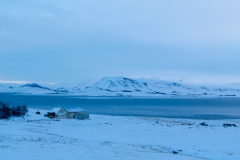 Auf den Weg in die Westfjords - Island