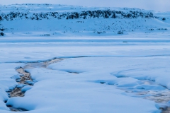 Auf den Weg in die Westfjords - Island