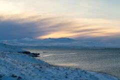 Auf den Weg in die Westfjords - Island