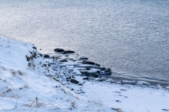 Auf den Weg in die Westfjords - Island
