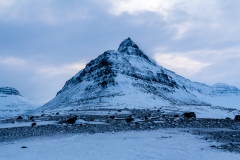 Auf den Weg in die Westfjords - Island